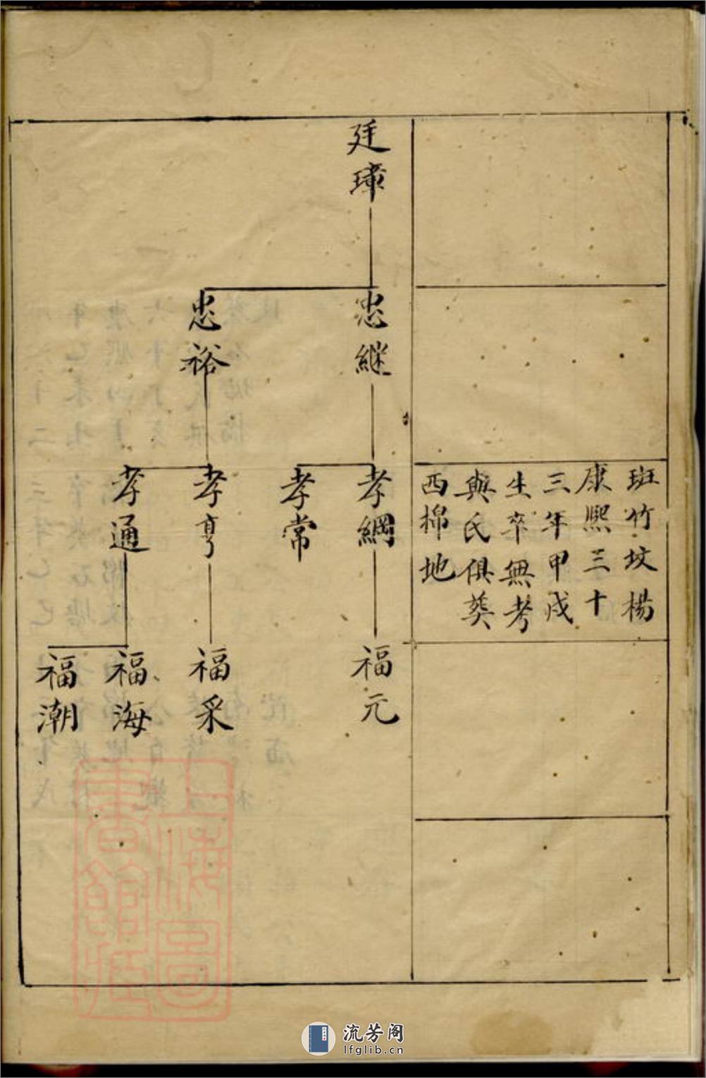 观巷蒋氏草谱 - 第13页预览图