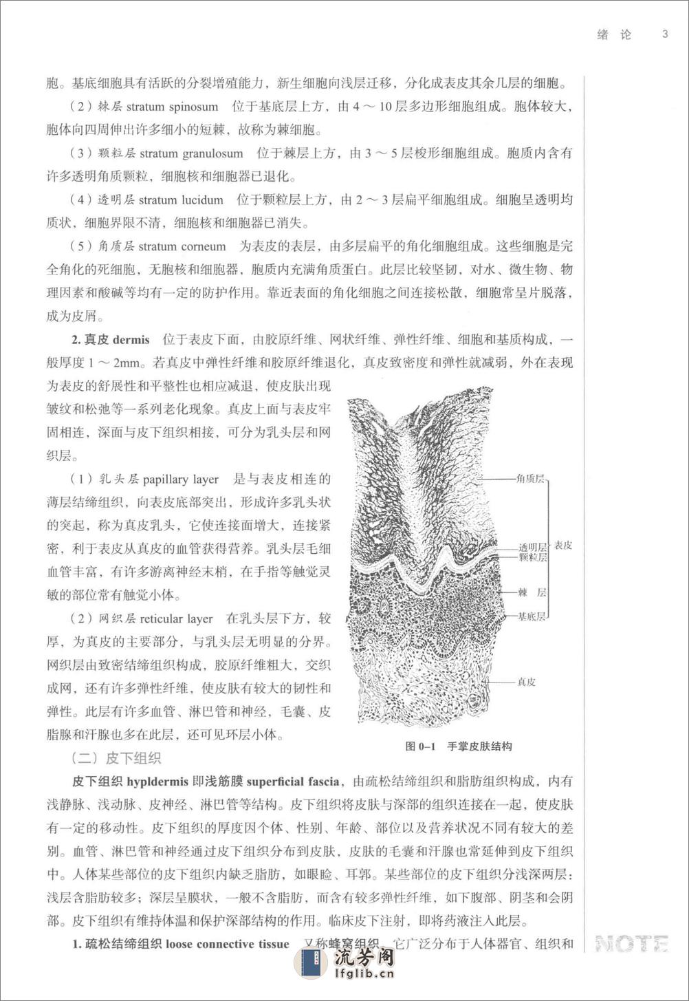 腧穴解剖学_第10版_高清无水印_全书签_不可复制 - 第14页预览图