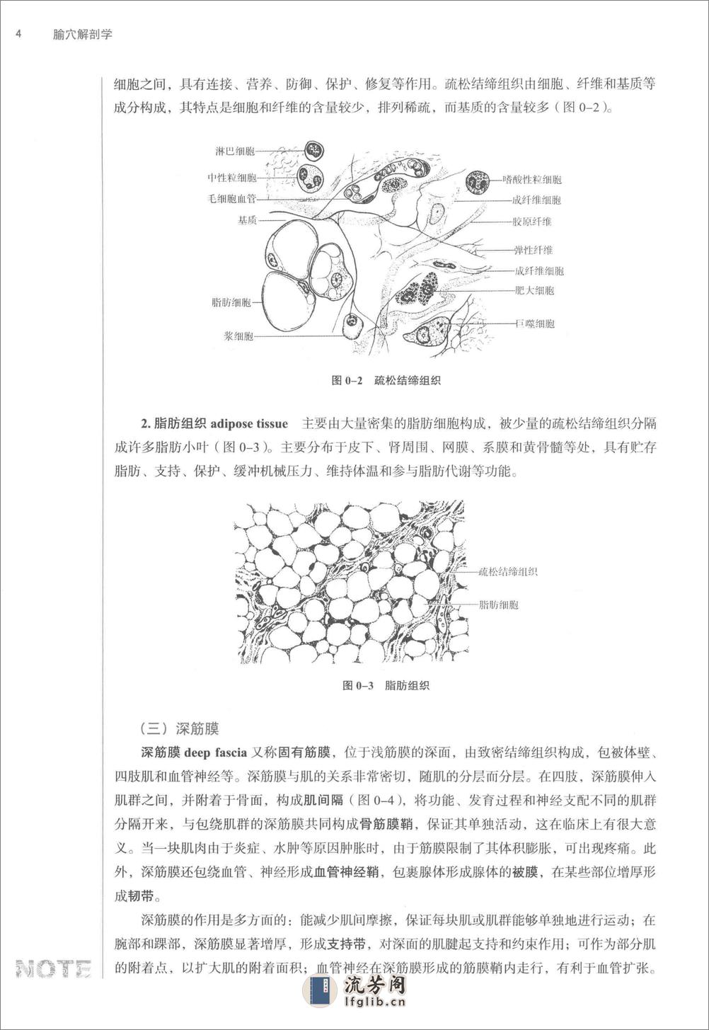 腧穴解剖学_第10版_高清无水印_全书签_不可复制 - 第15页预览图