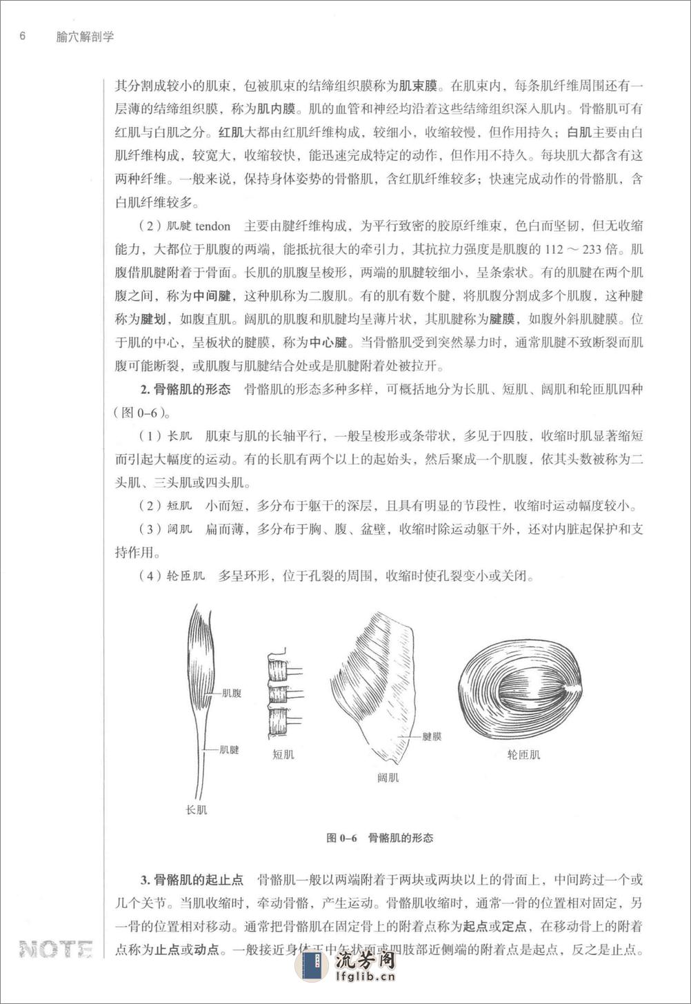 腧穴解剖学_第10版_高清无水印_全书签_不可复制 - 第17页预览图