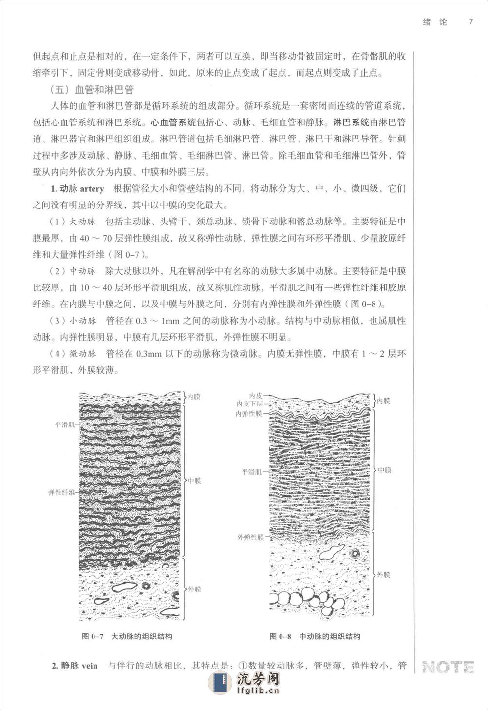 腧穴解剖学_第10版_高清无水印_全书签_不可复制 - 第18页预览图