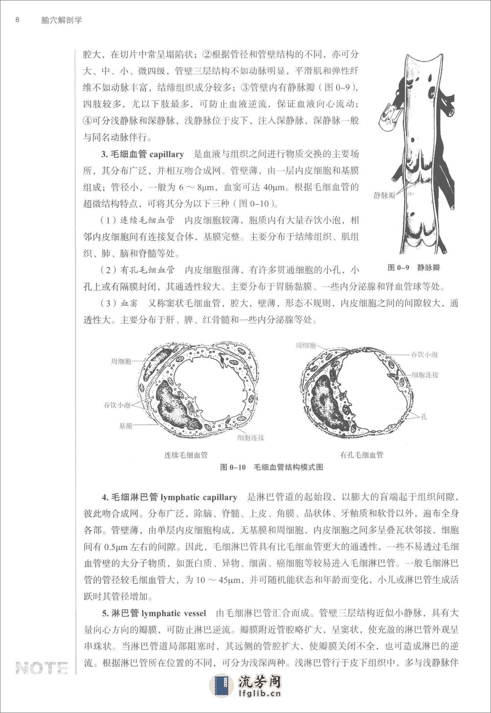 腧穴解剖学_第10版_高清无水印_全书签_不可复制 - 第19页预览图