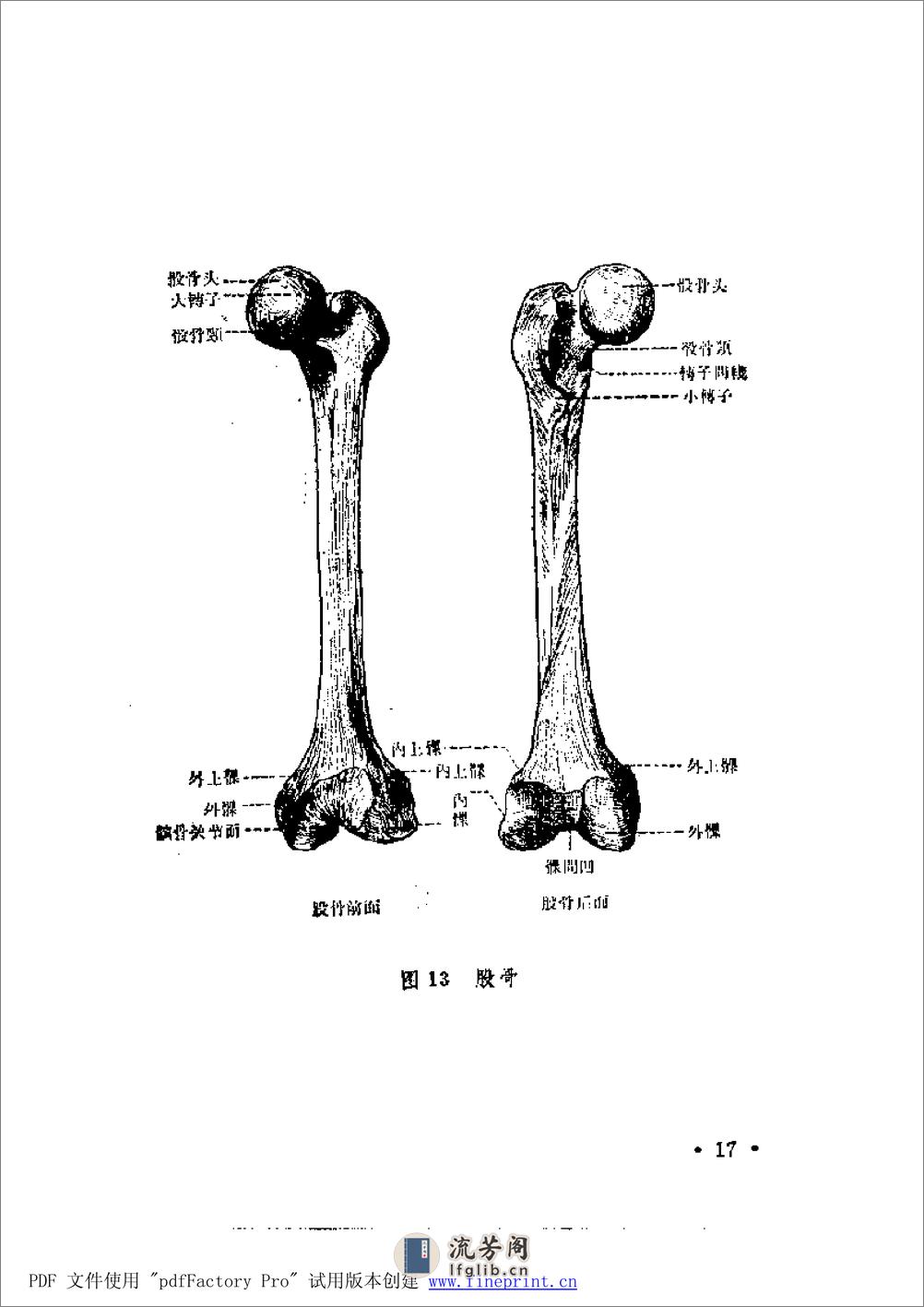 陈氏整骨学 - 第17页预览图