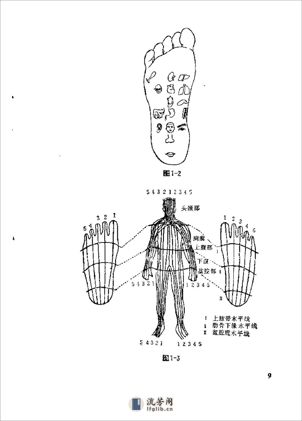 [形色足诊].冀振华 - 第13页预览图