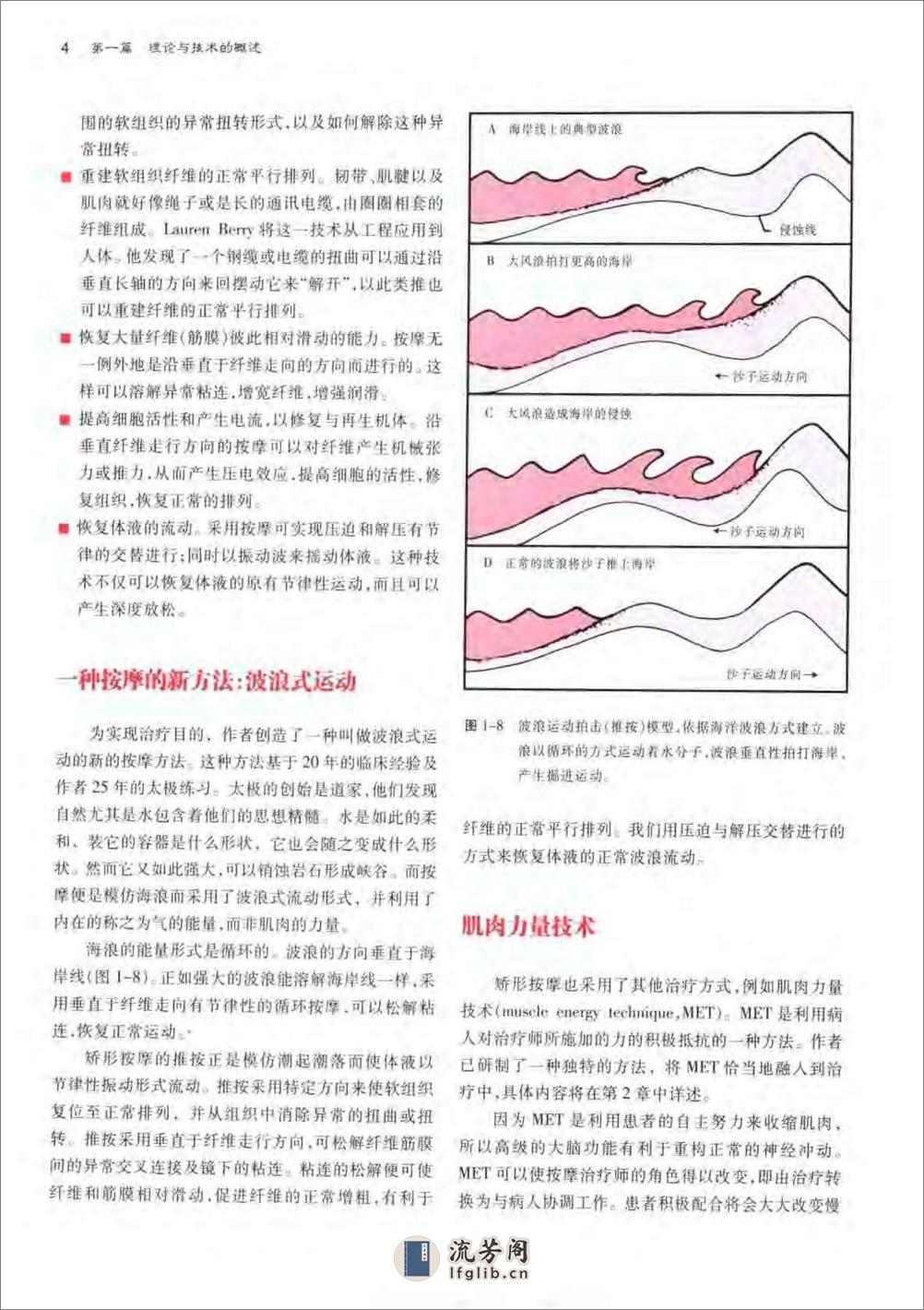 骨科疾病的矫形按摩 - 第16页预览图