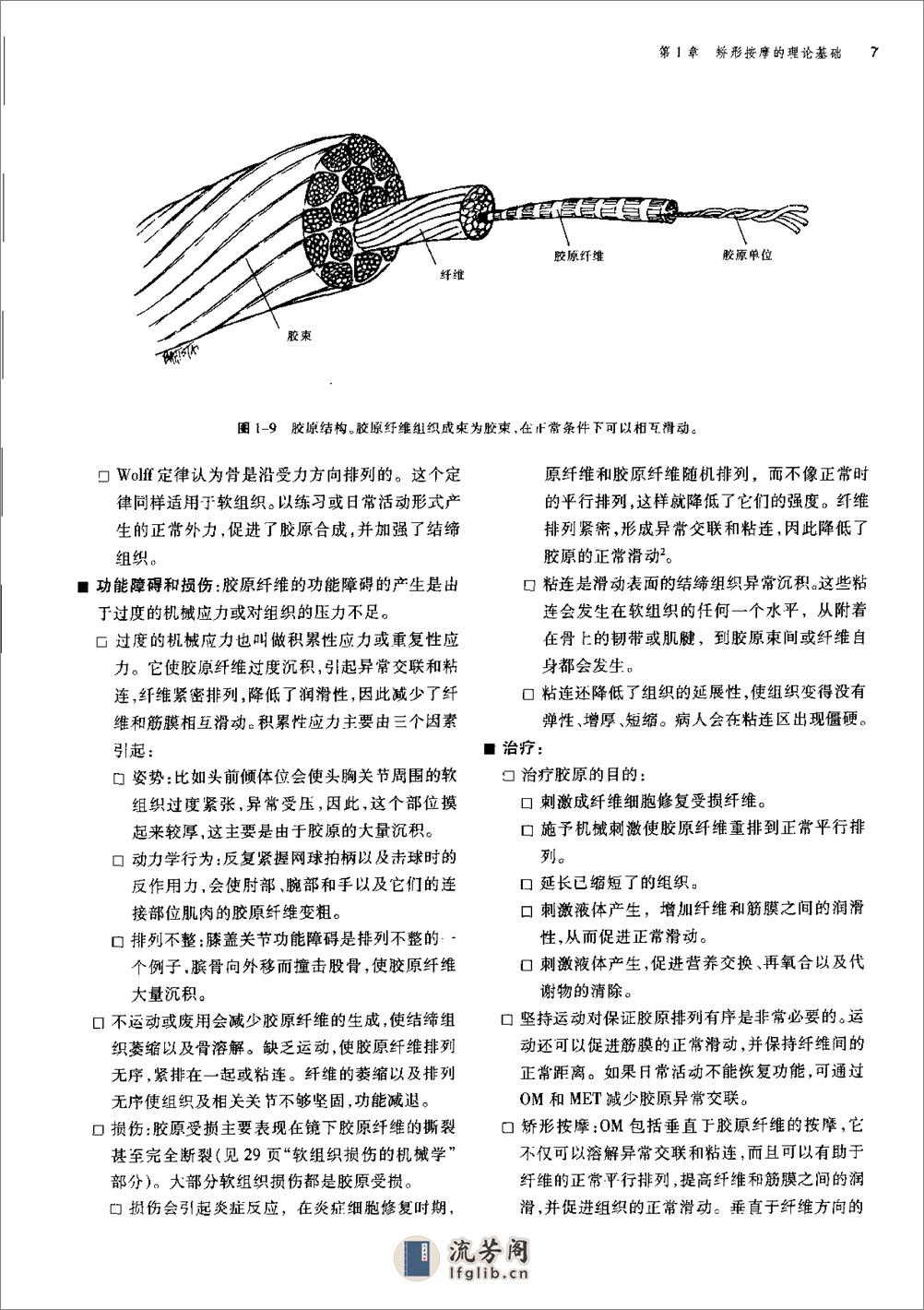 骨科疾病的矫形按摩 - 第19页预览图