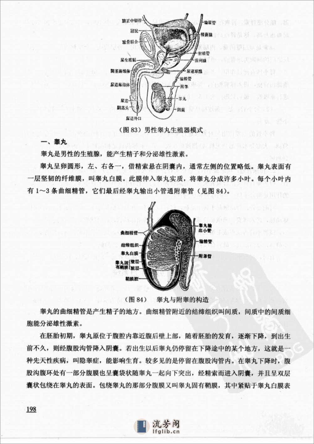 [易劲经(下)].刘天龙(1) - 第14页预览图