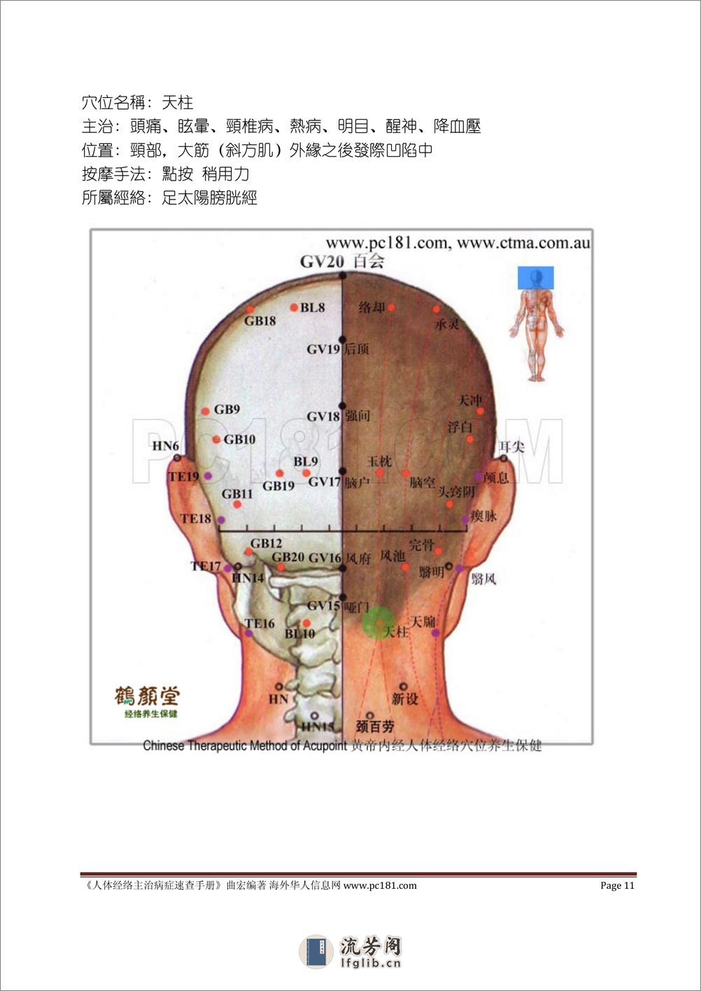 曲宏  《人体经络主治病症速查手册》 - 第11页预览图