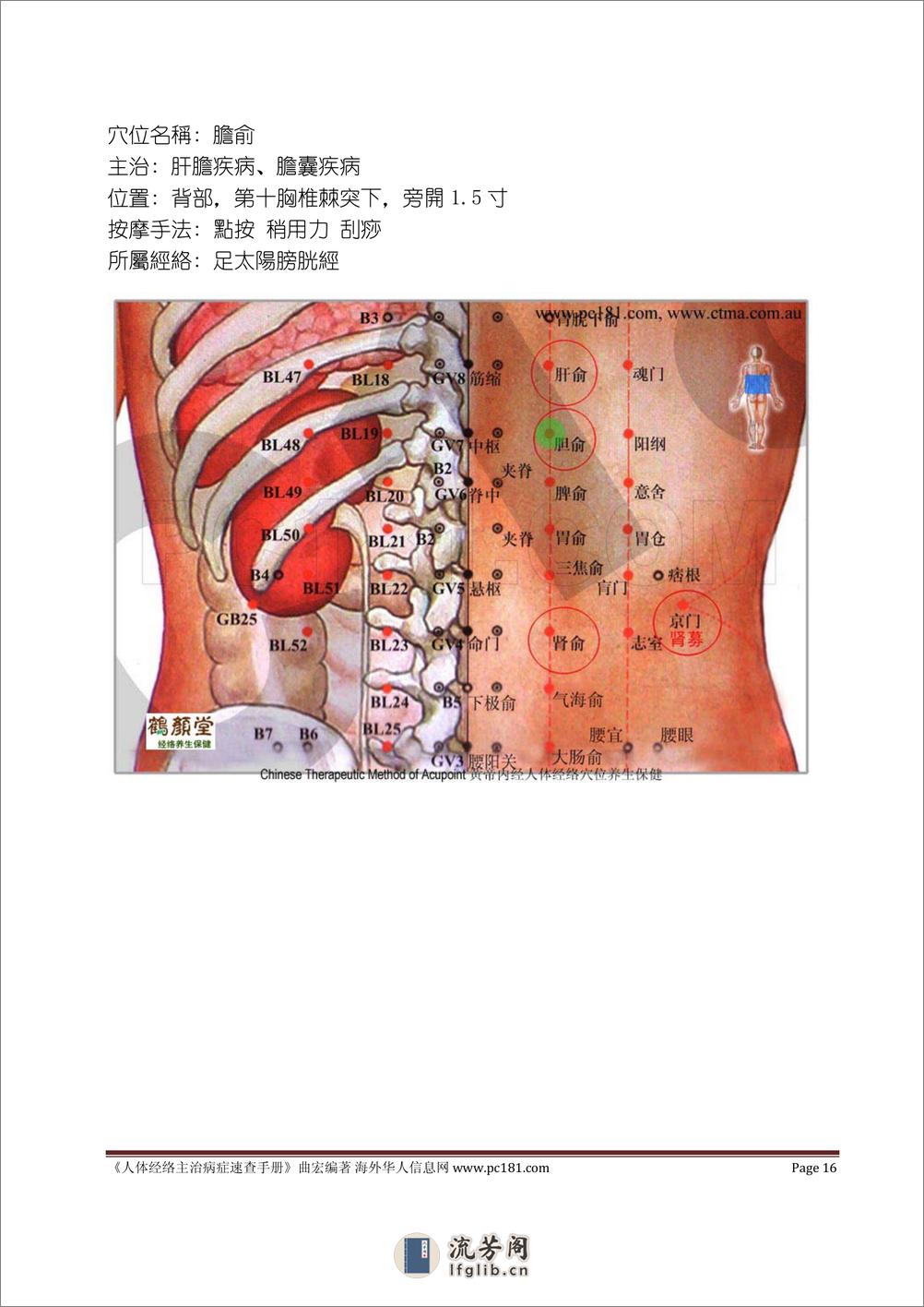 曲宏  《人体经络主治病症速查手册》 - 第16页预览图