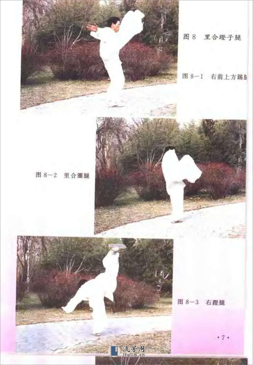 《“北腿”代表拳种——戳脚拳法》蔡景和 - 第8页预览图