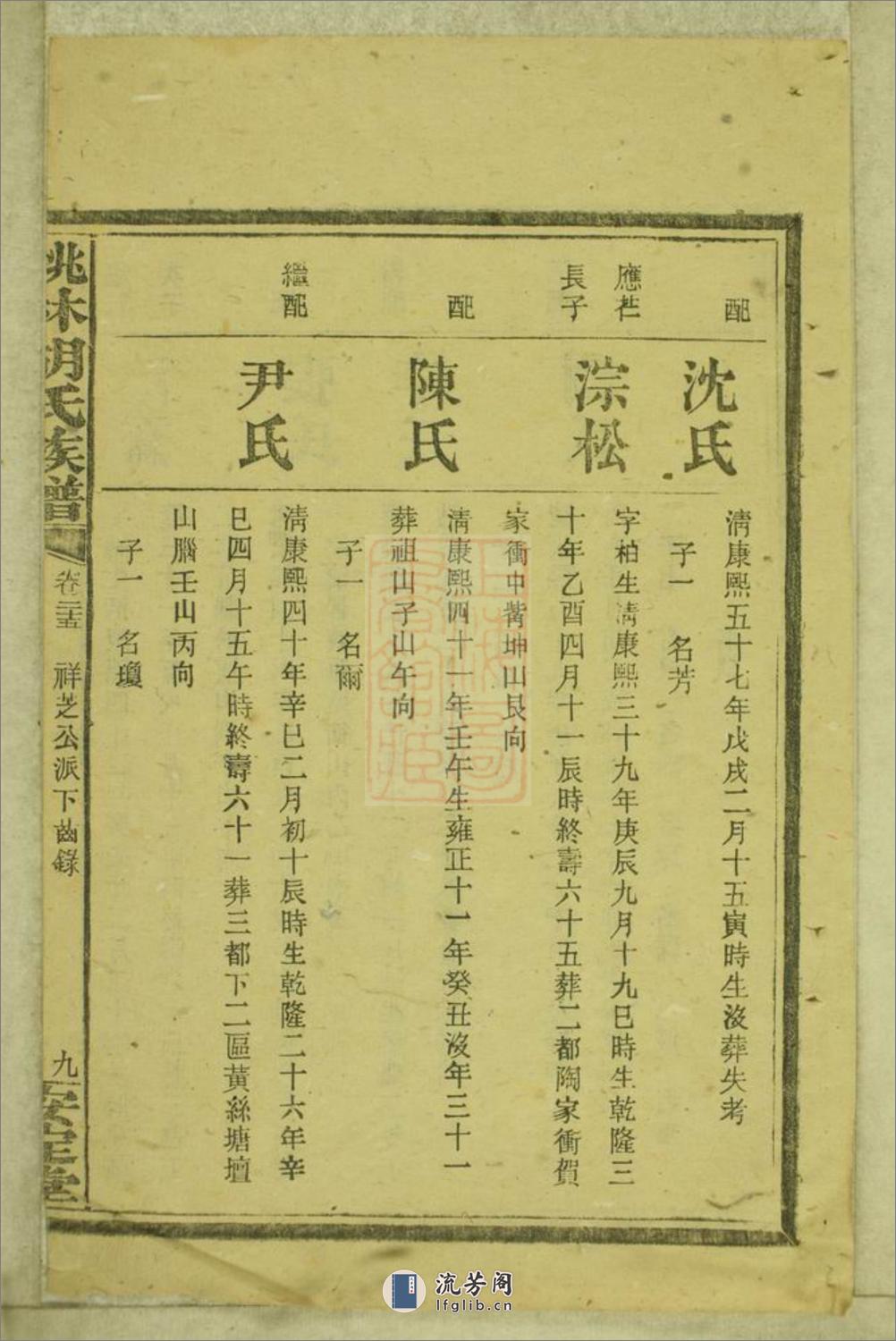 桃林胡氏族谱：[湘乡] - 第19页预览图