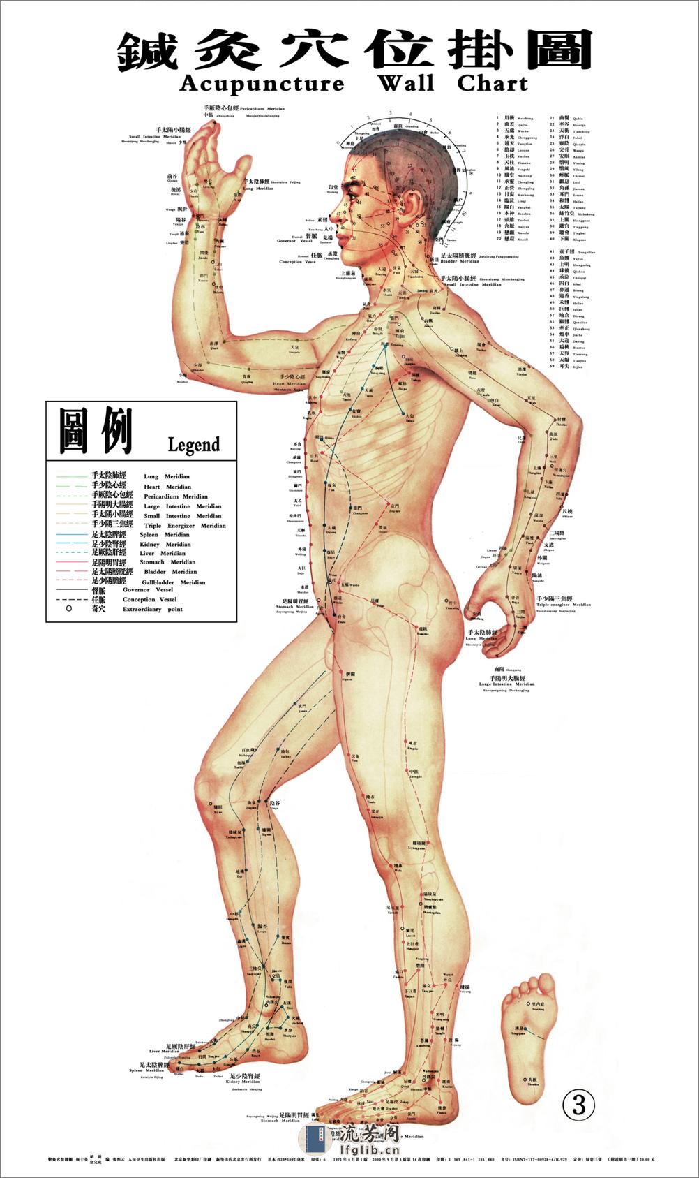 经络穴位挂图 - 第3页预览图