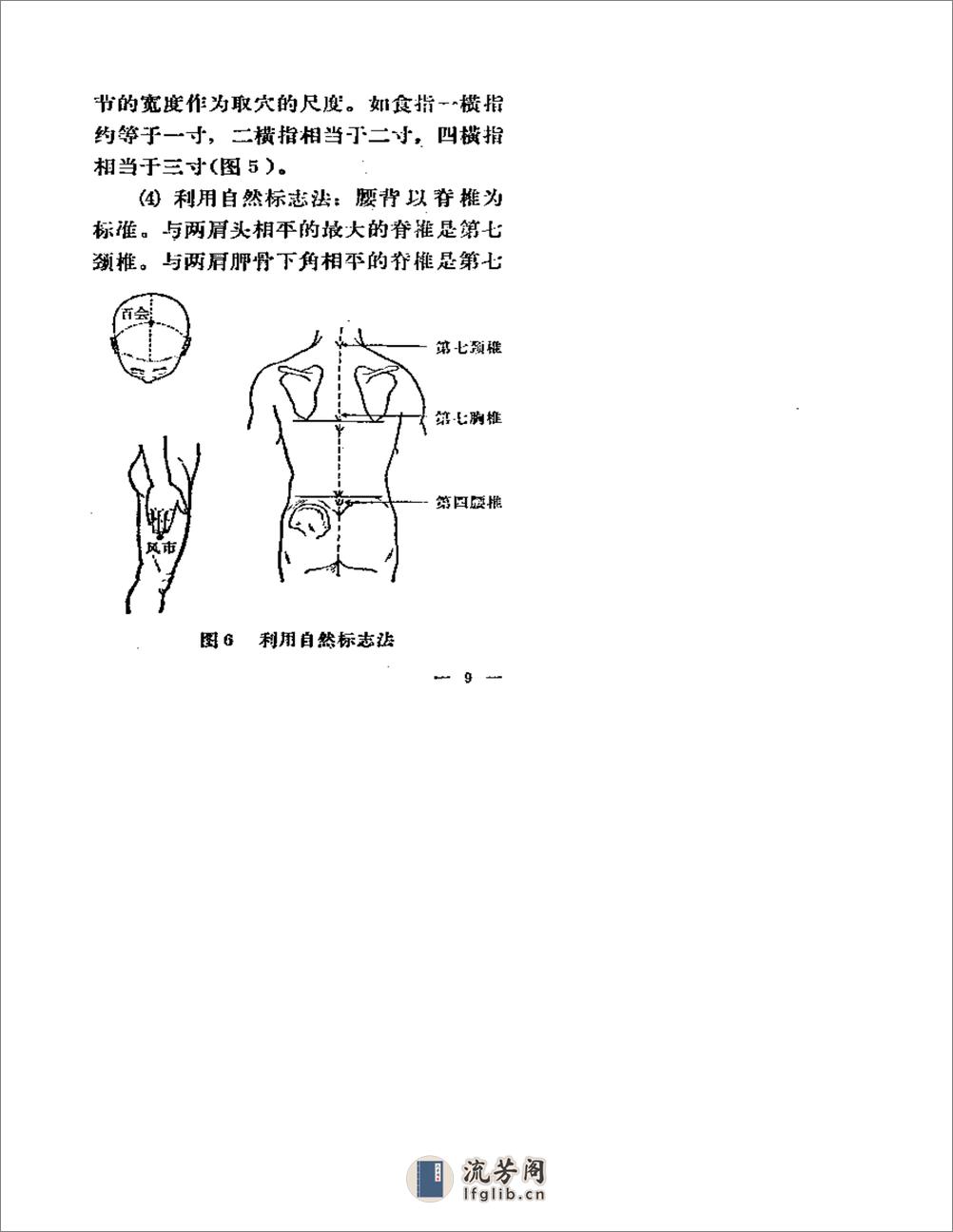 快速针刺疗法 - 第16页预览图