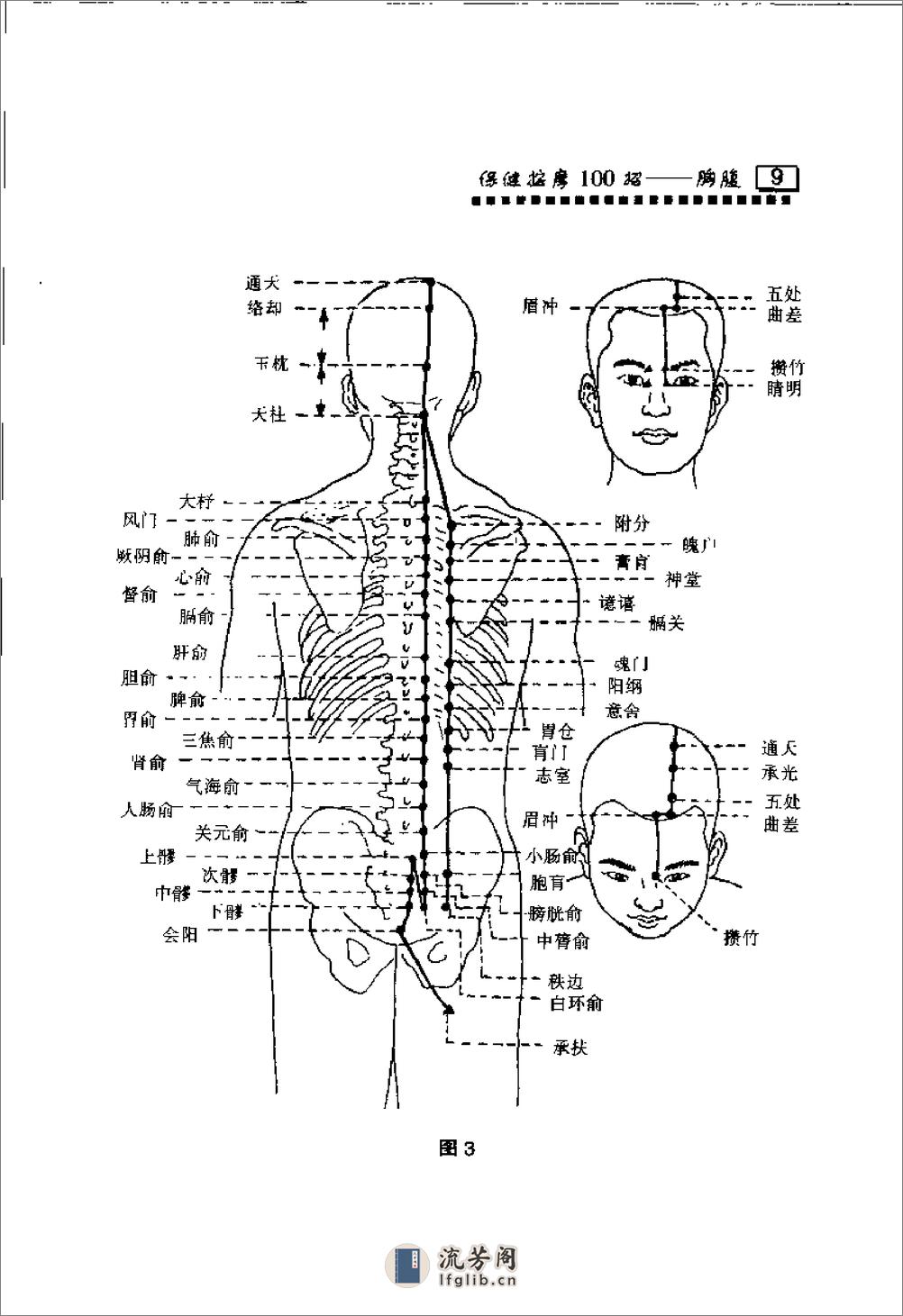 保健按摩100招：胸腹（周华龙） - 第16页预览图