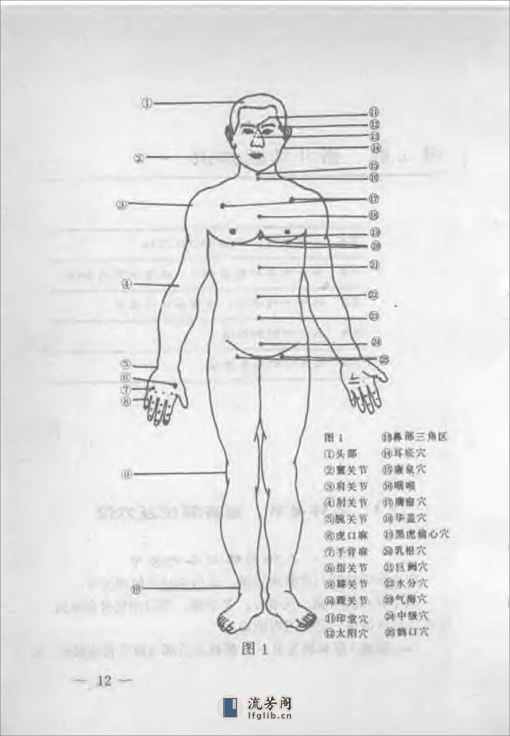 《军警实用格斗术（上）：基本技术部分》王卫东 - 第16页预览图