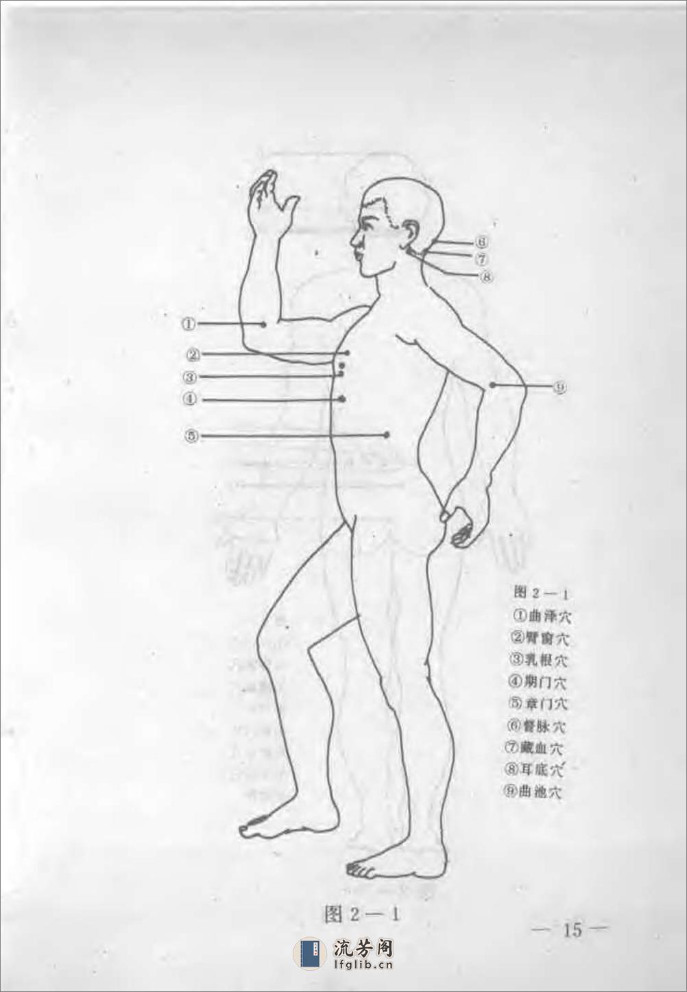 《军警实用格斗术（上）：基本技术部分》王卫东 - 第19页预览图