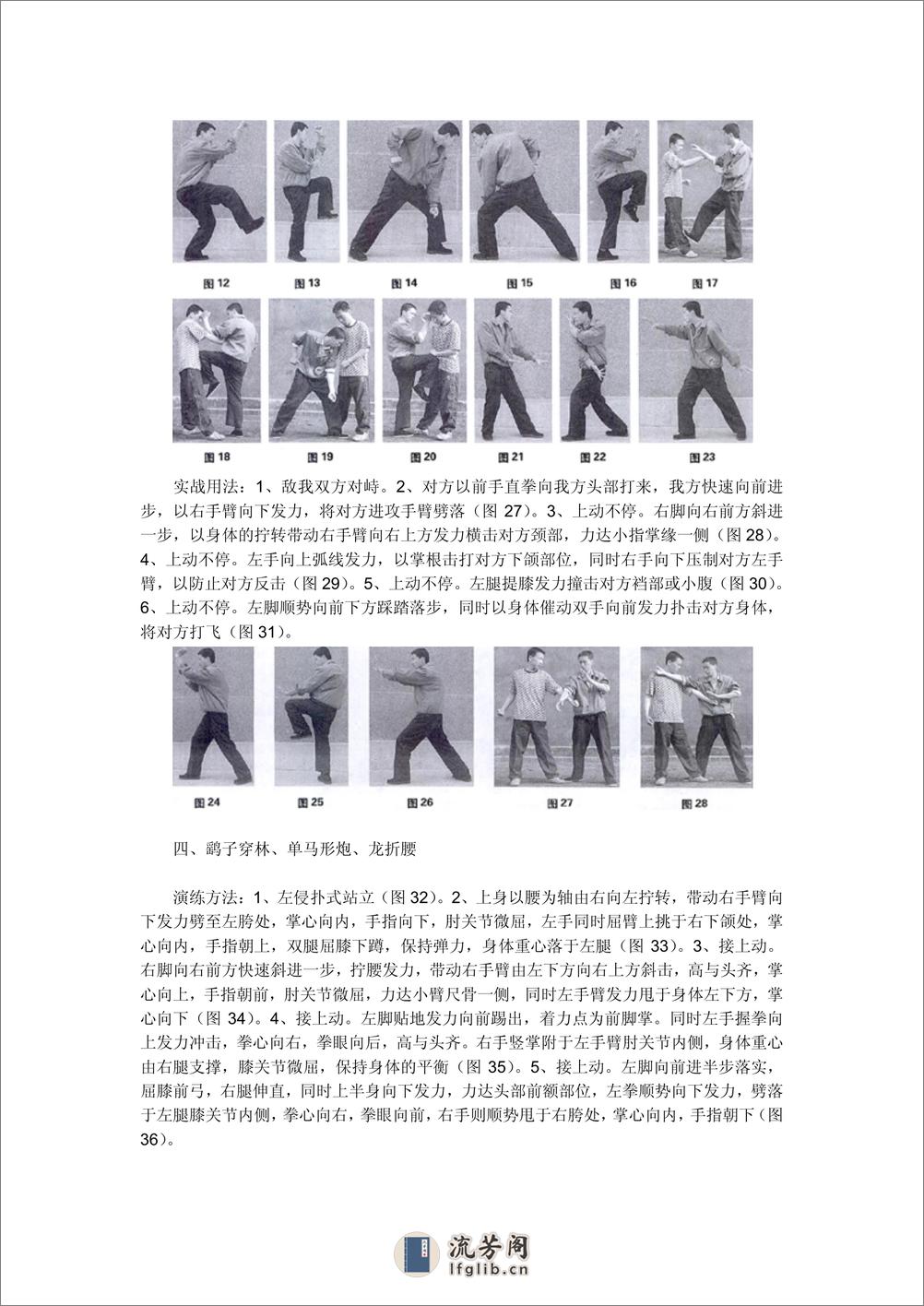 《心意六合拳十形连环演练与实战》王忠海 - 第3页预览图