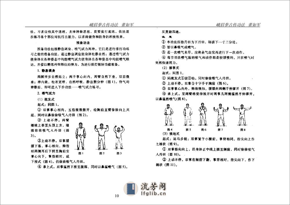 《峨眉拳古传功法》董如军 - 第10页预览图