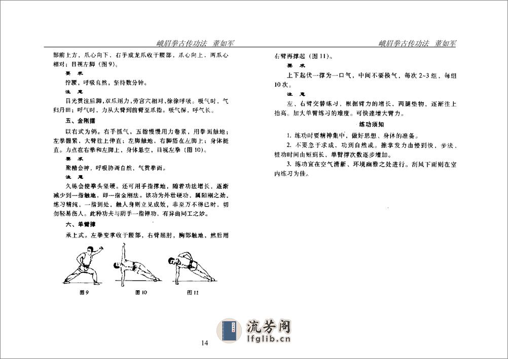 《峨眉拳古传功法》董如军 - 第14页预览图