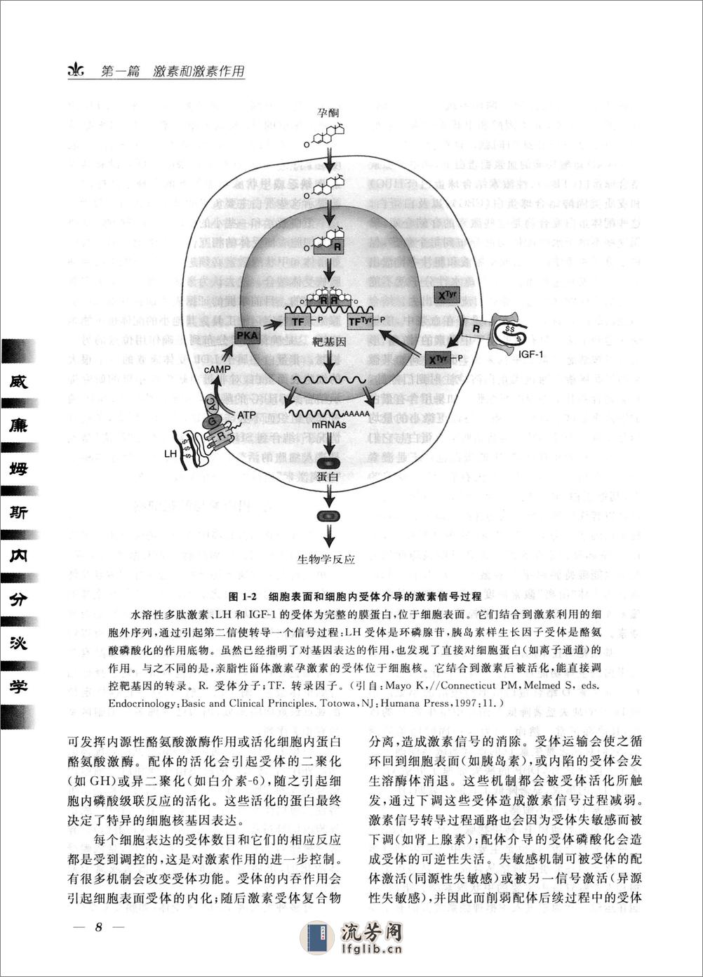 威廉姆斯内分泌学(第11版)——HM Kronenberg   S Melmed等-2011 - 第20页预览图