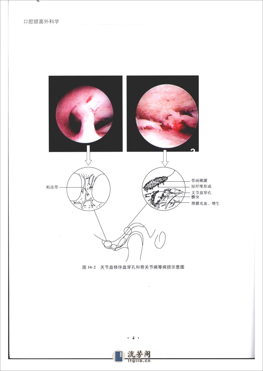 口腔颌面外科学 - 第8页预览图