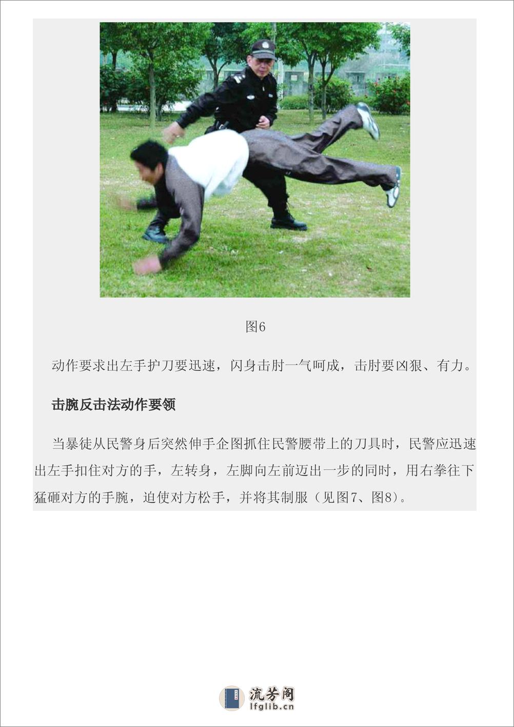 中国警察第一刀防卫术图文教程 - 第12页预览图