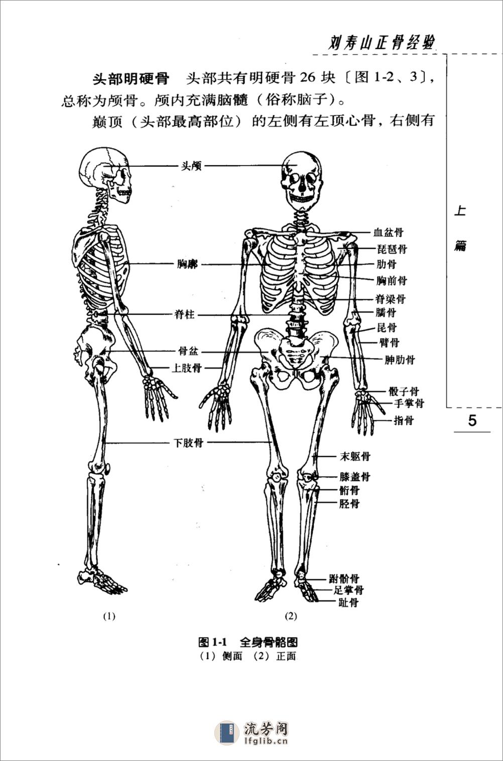 刘寿山正骨经验（高清版） - 第20页预览图