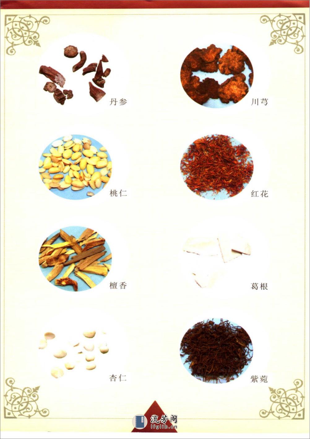 特效中药健身食疗汤料 - 第10页预览图