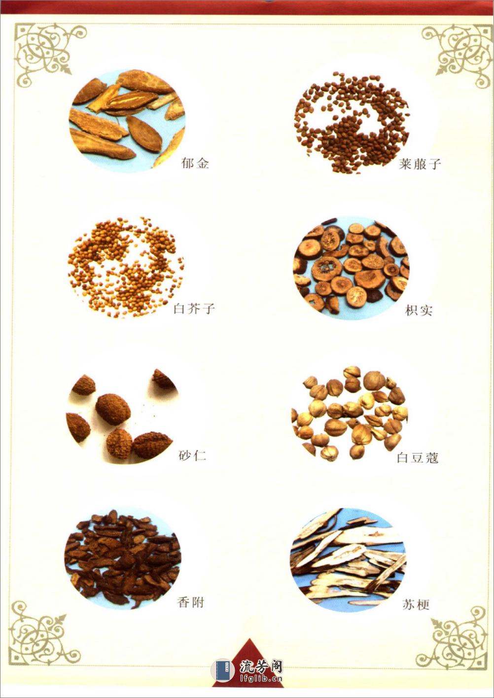 特效中药健身食疗汤料 - 第13页预览图