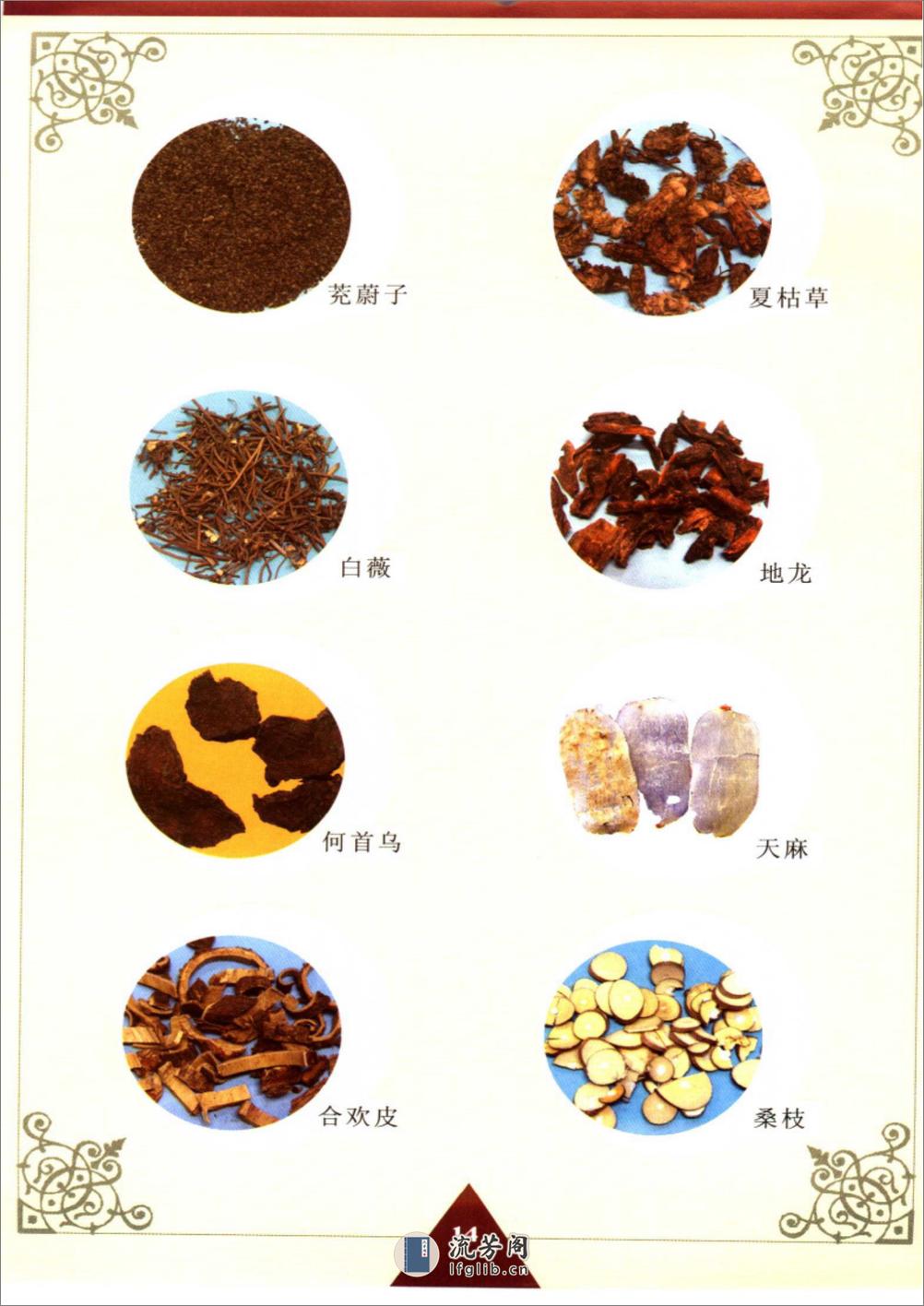 特效中药健身食疗汤料 - 第15页预览图