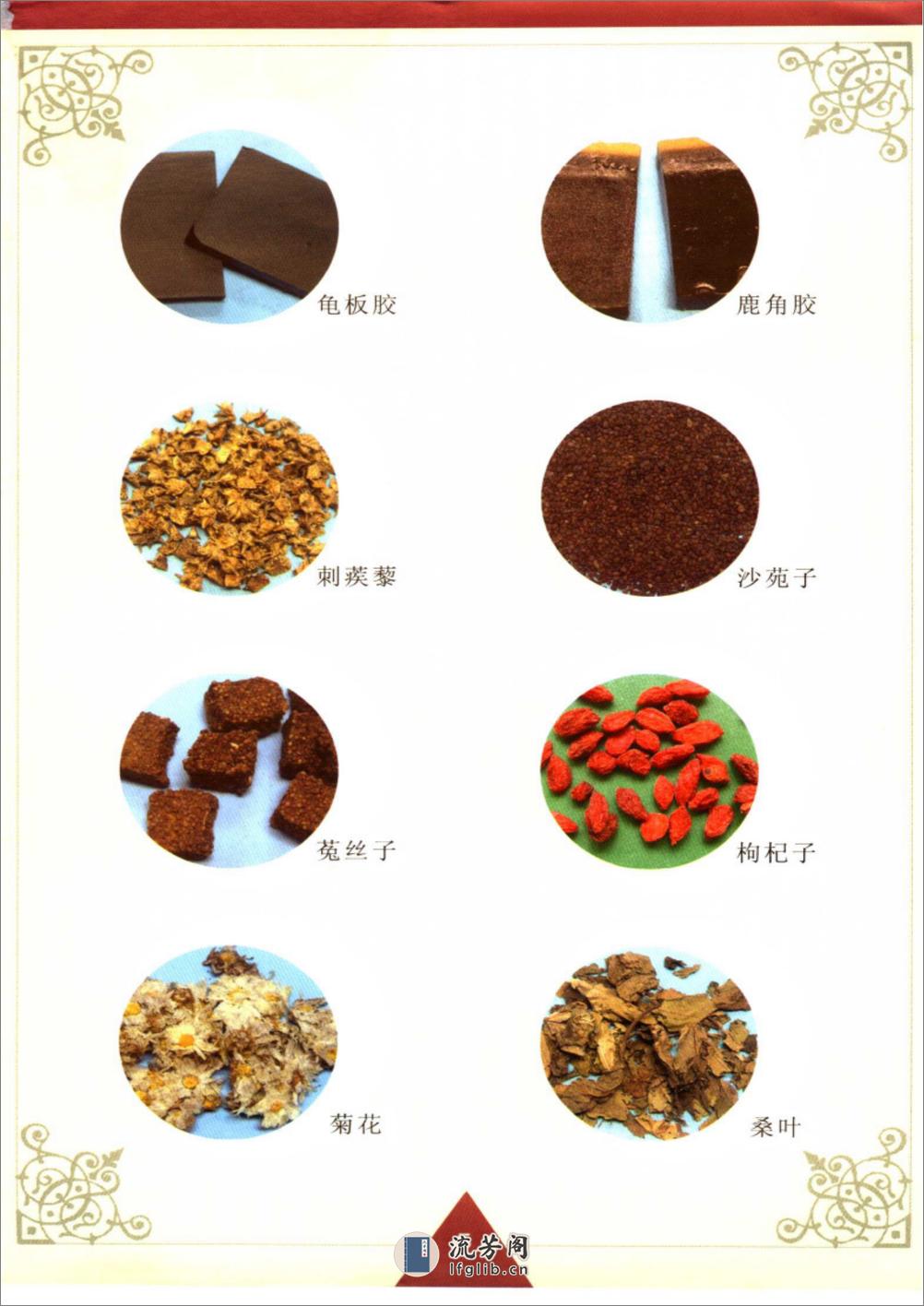 特效中药健身食疗汤料 - 第6页预览图