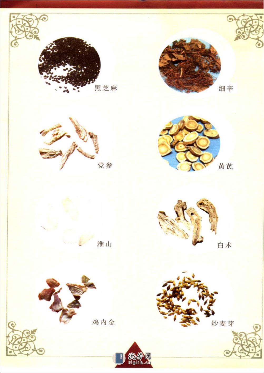 特效中药健身食疗汤料 - 第7页预览图