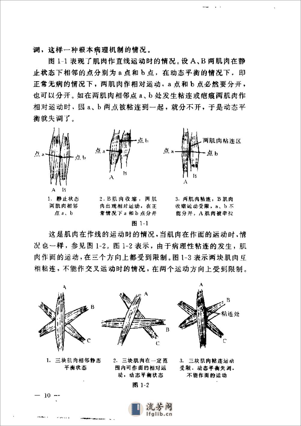 针刀临床诊断与治疗 - 第19页预览图