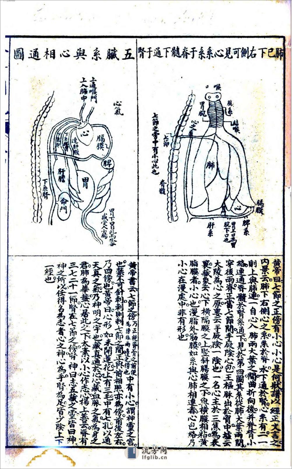 改良外科图说1834 - 第18页预览图