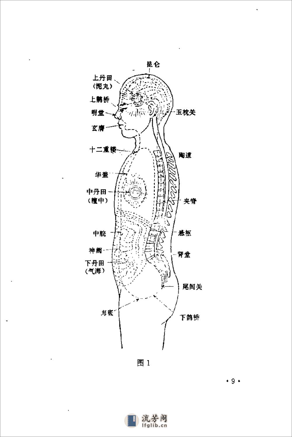 [民间养生功法].陈唯健 - 第20页预览图