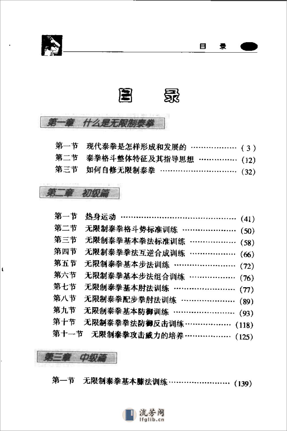 《无限制泰拳》朱建华 - 第10页预览图