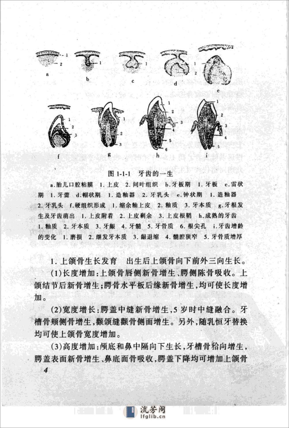 保牙、粘牙、植牙与制牙 - 第14页预览图