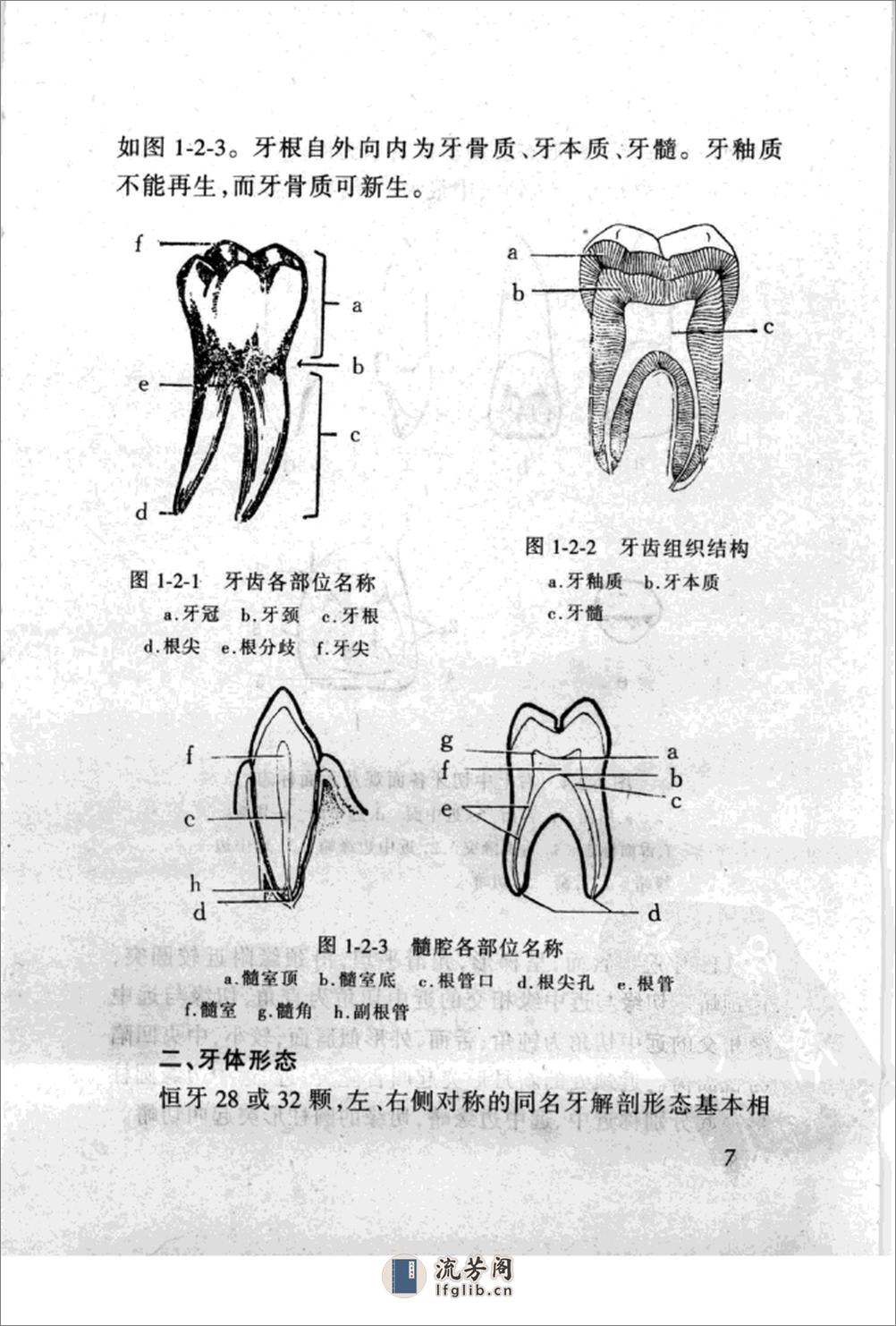 保牙、粘牙、植牙与制牙 - 第17页预览图