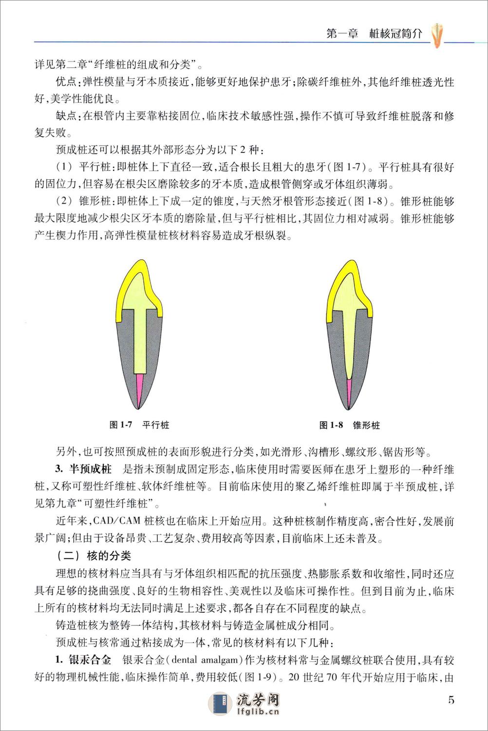 纤维桩理论与实践 - 第20页预览图