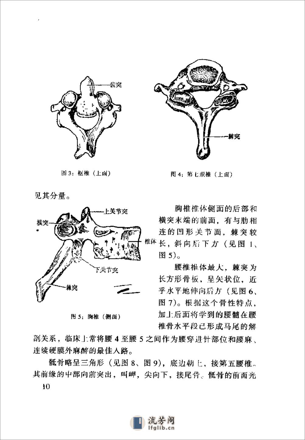 [齐氏气功快速自我祛病法].齐永 - 第14页预览图