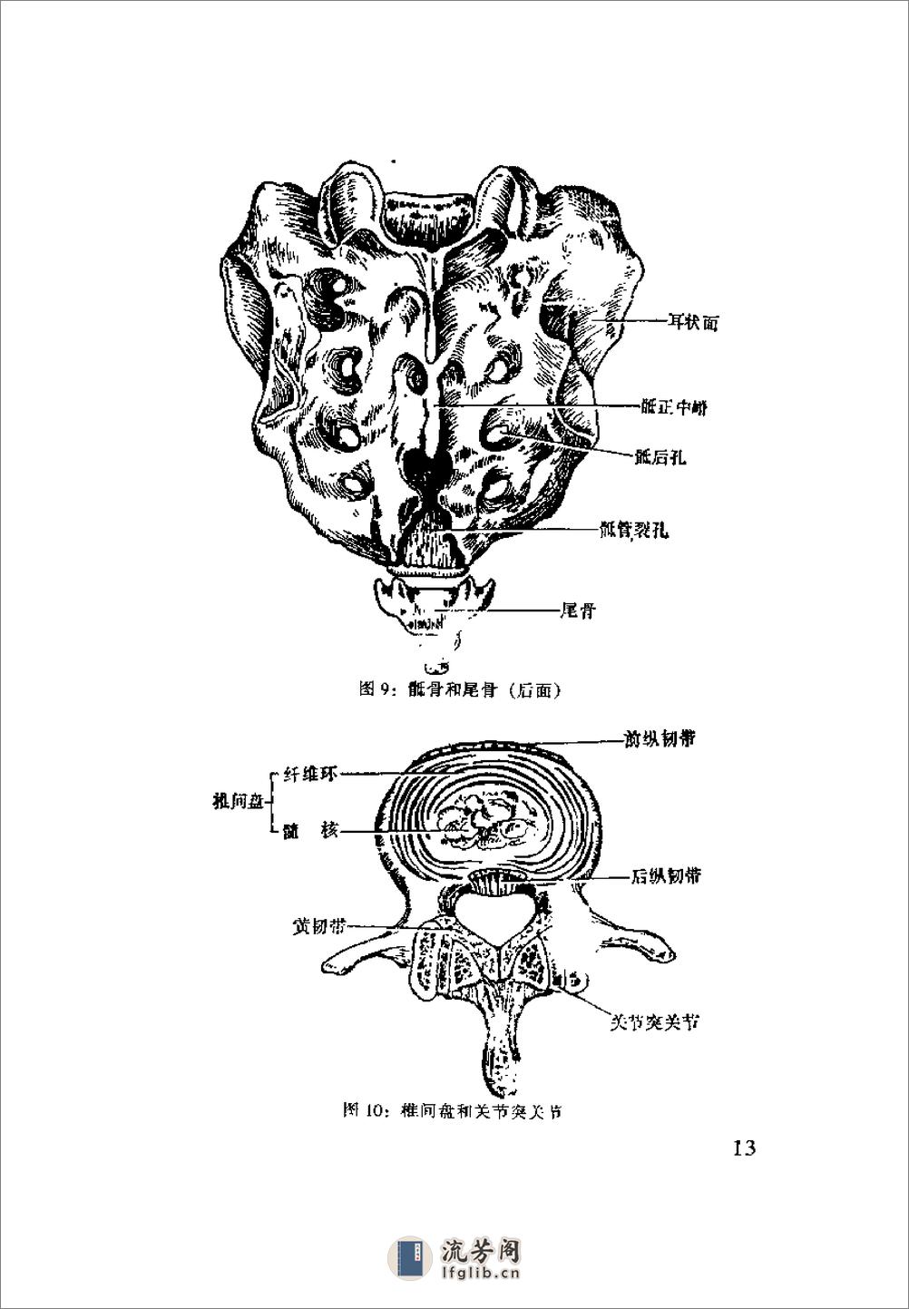 [齐氏气功快速自我祛病法].齐永 - 第17页预览图