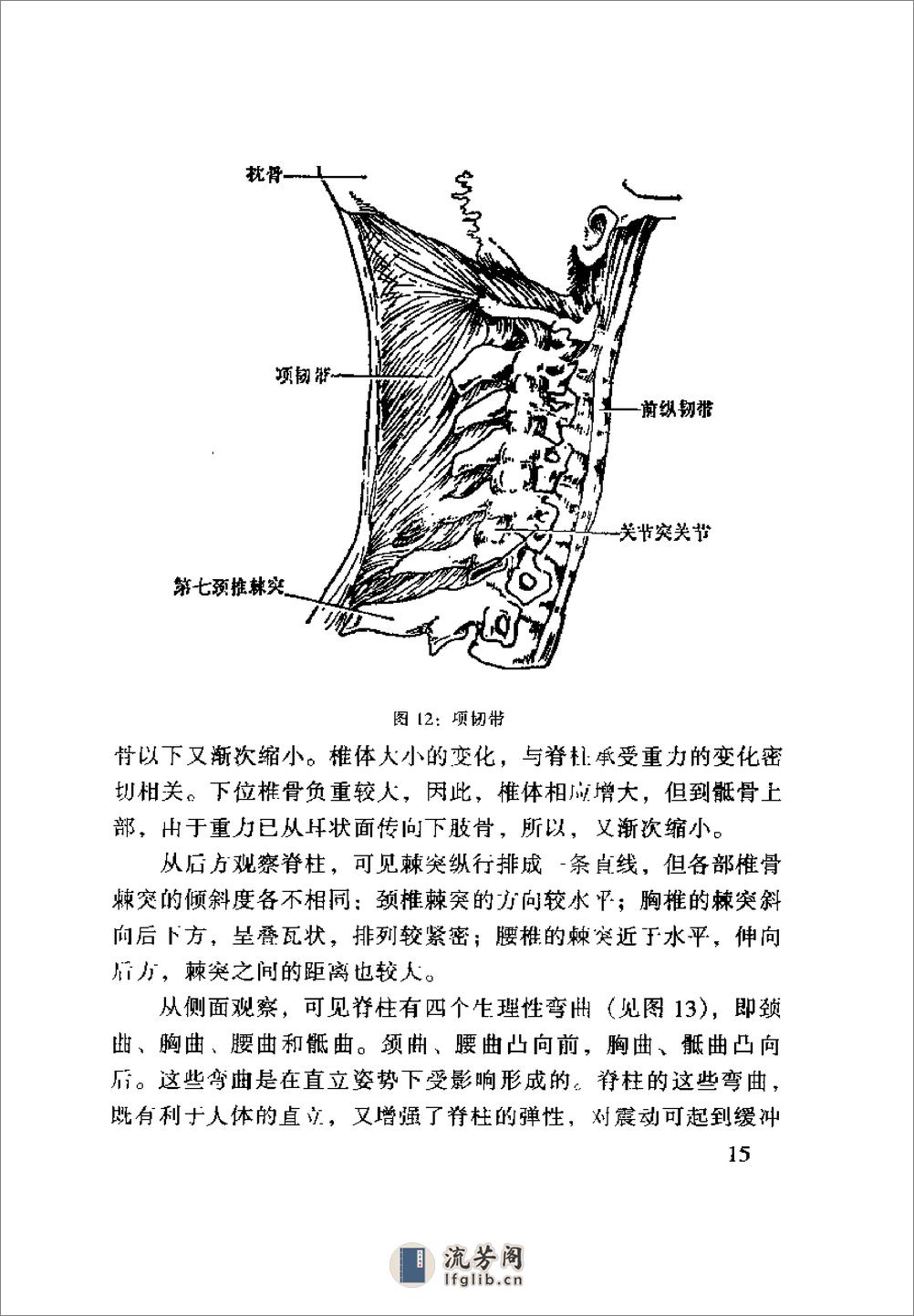 [齐氏气功快速自我祛病法].齐永 - 第19页预览图