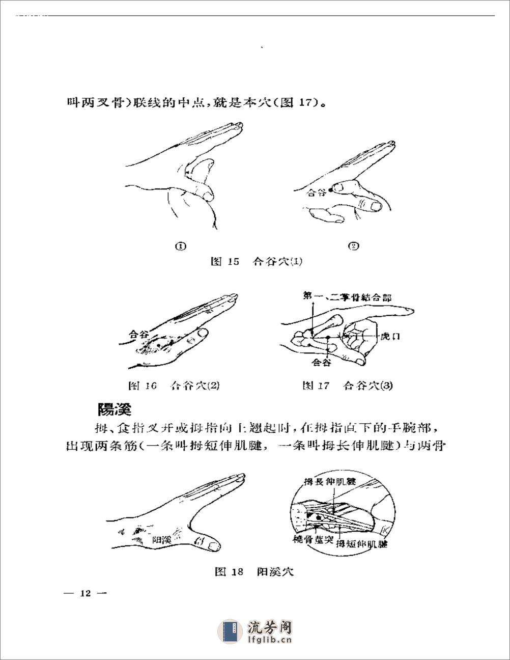 针灸临床取穴图解 - 第15页预览图