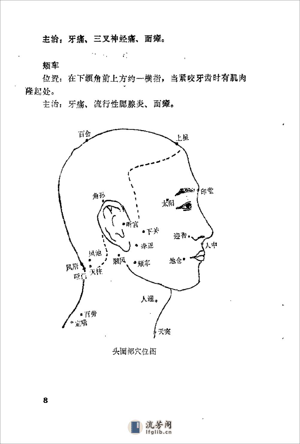 穴位贴药与熨洗浸疗法 靳瑞 - 第13页预览图