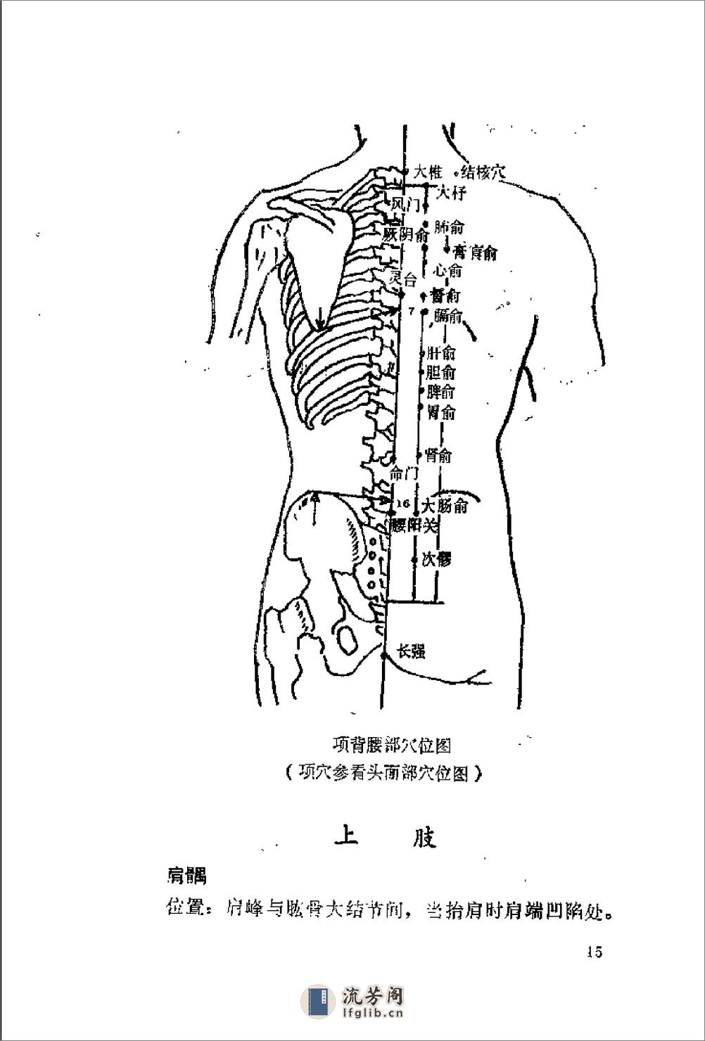 穴位贴药与熨洗浸疗法 靳瑞 - 第20页预览图