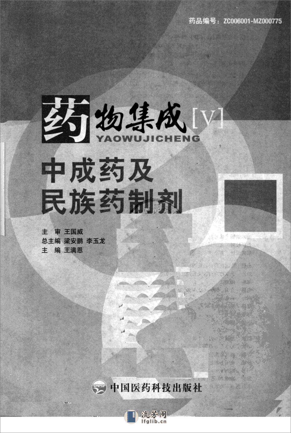 药物集成【V】中成药及民族药制剂 梁安鹏.李玉龙 - 第3页预览图