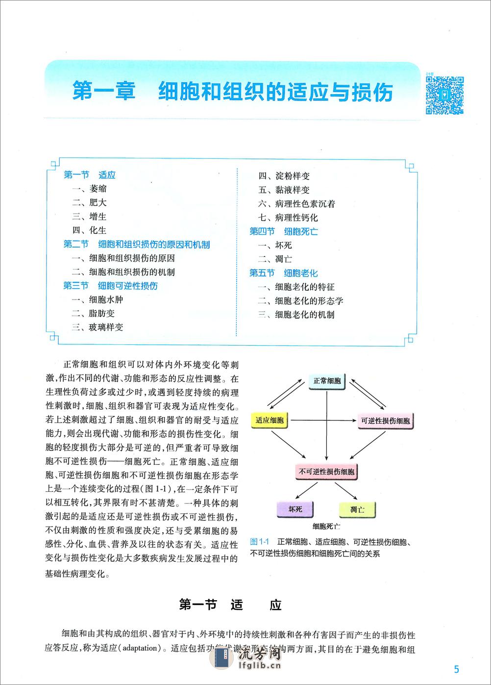 《病理学》人卫第9版教材--高清彩色 - 第17页预览图