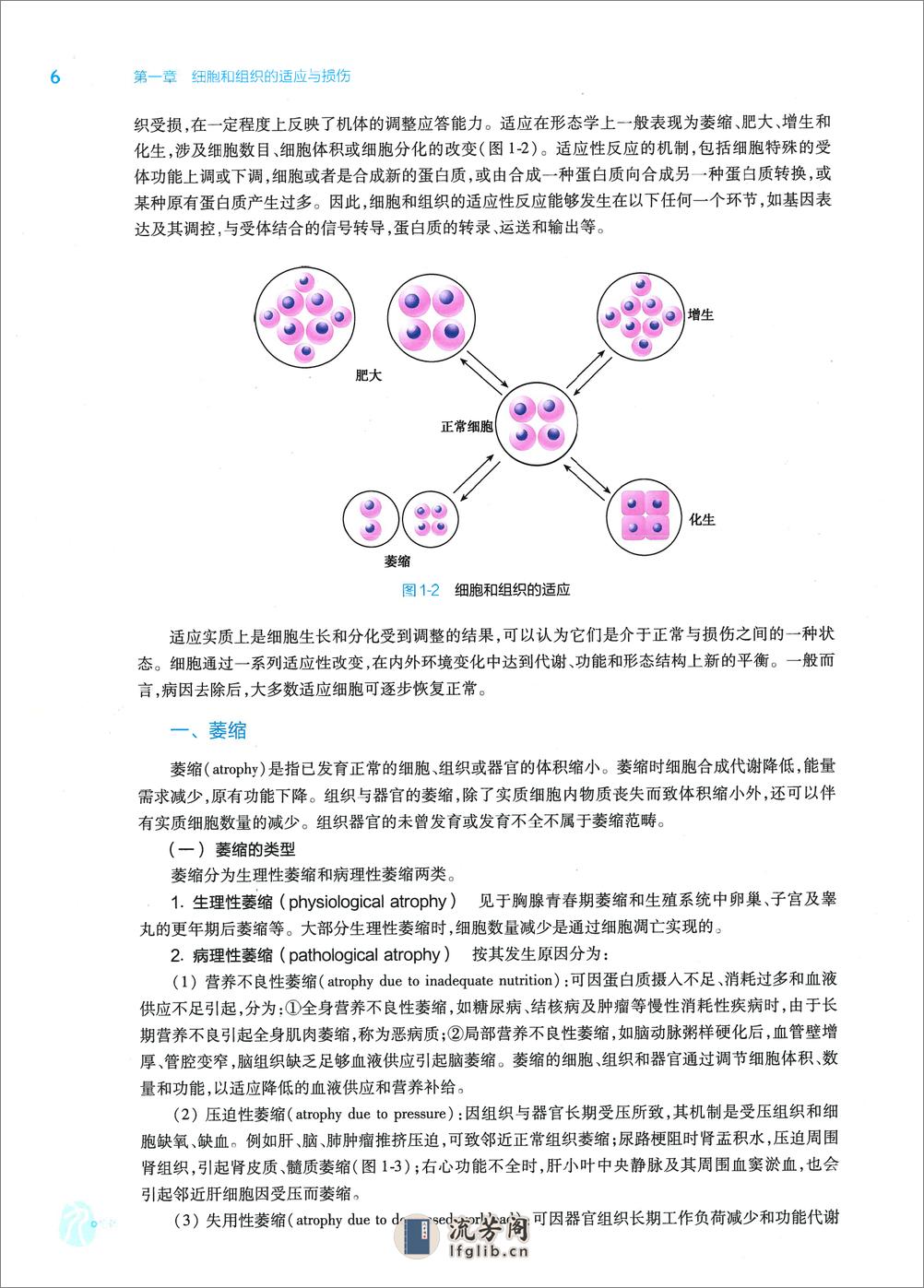 《病理学》人卫第9版教材--高清彩色 - 第18页预览图