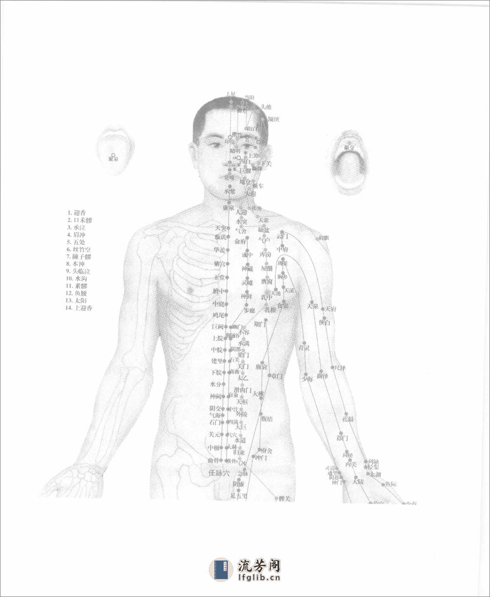 中医如此神奇之推拿按摩（高清版） - 第6页预览图