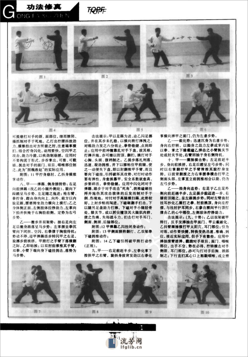 《八极拳法之扶手对打拳术》郭维民 - 第2页预览图